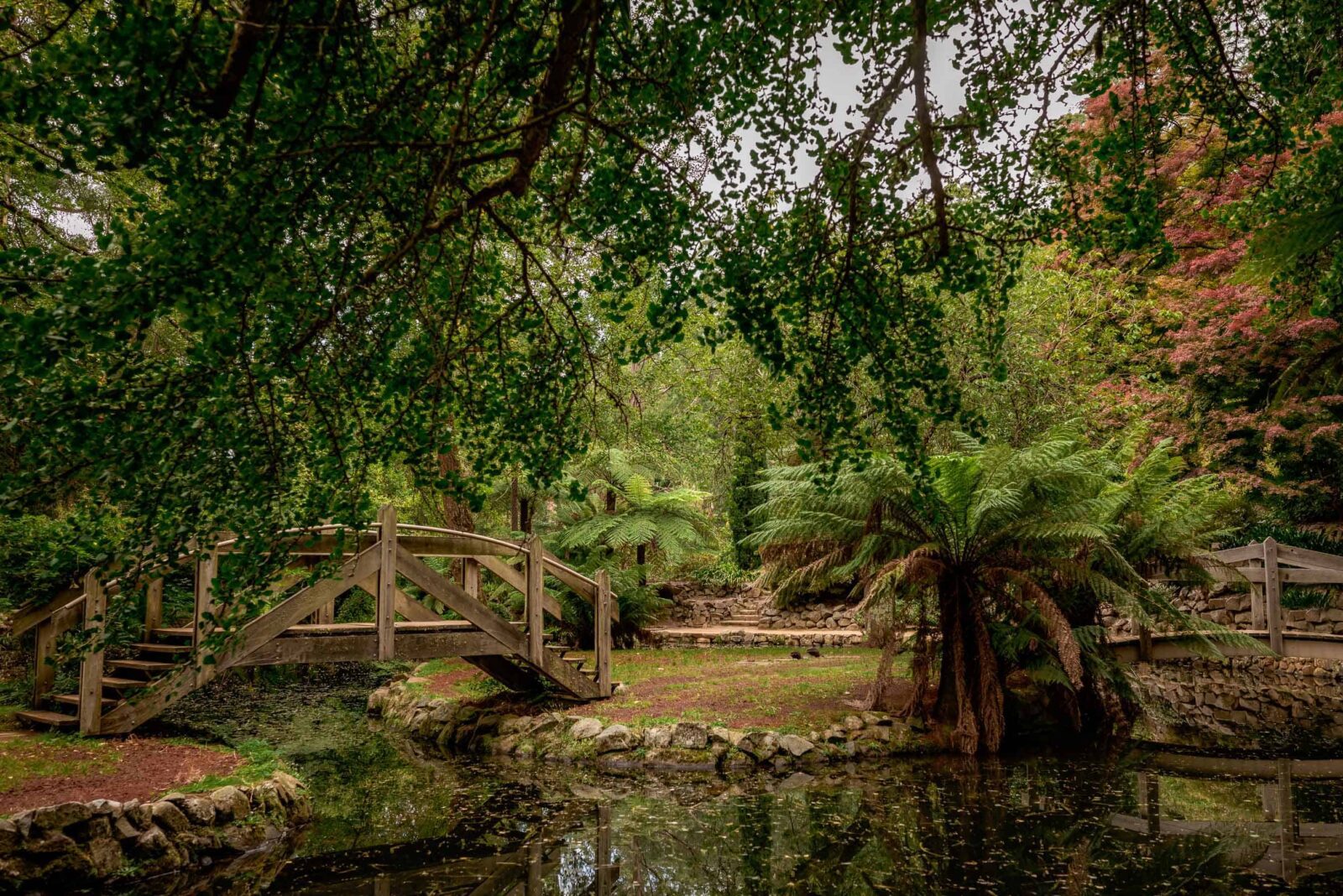 Bridge over the ornamental lake at Alfred Nicholas Gardens