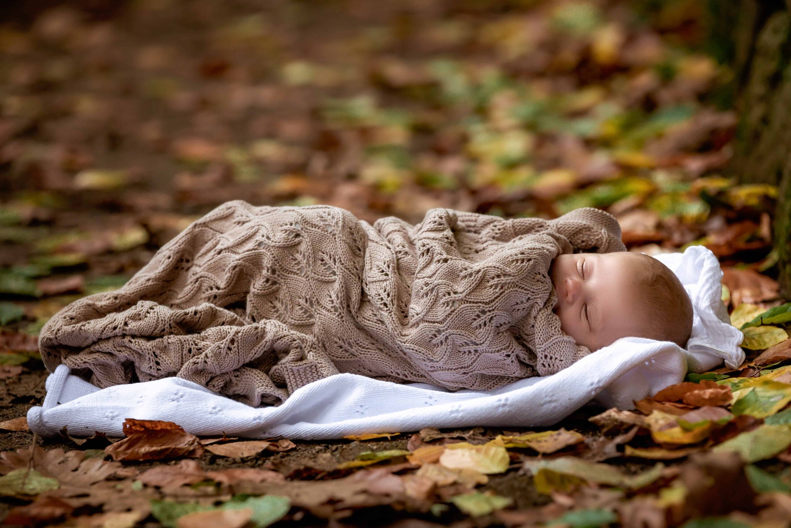 Professional photo of newborn baby asleep amongst the Autumn leaves