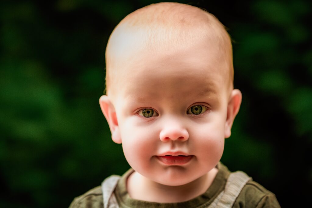 12 month old baby boy photographed at Olinda by Kate Cashin Photography