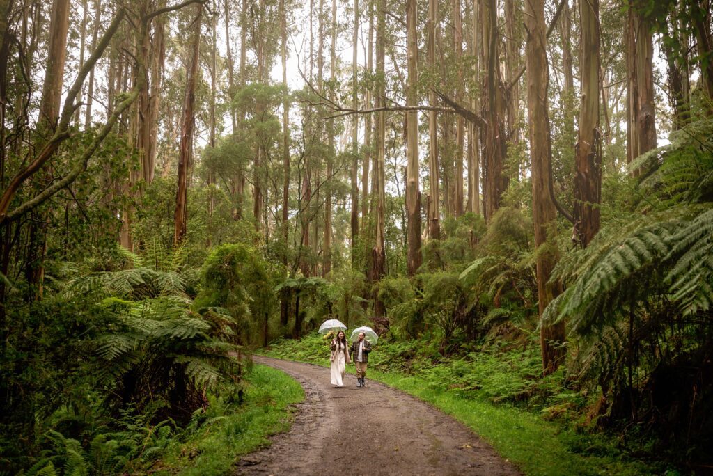 Couple walking down a forest path with umbrellas to their forest wedding