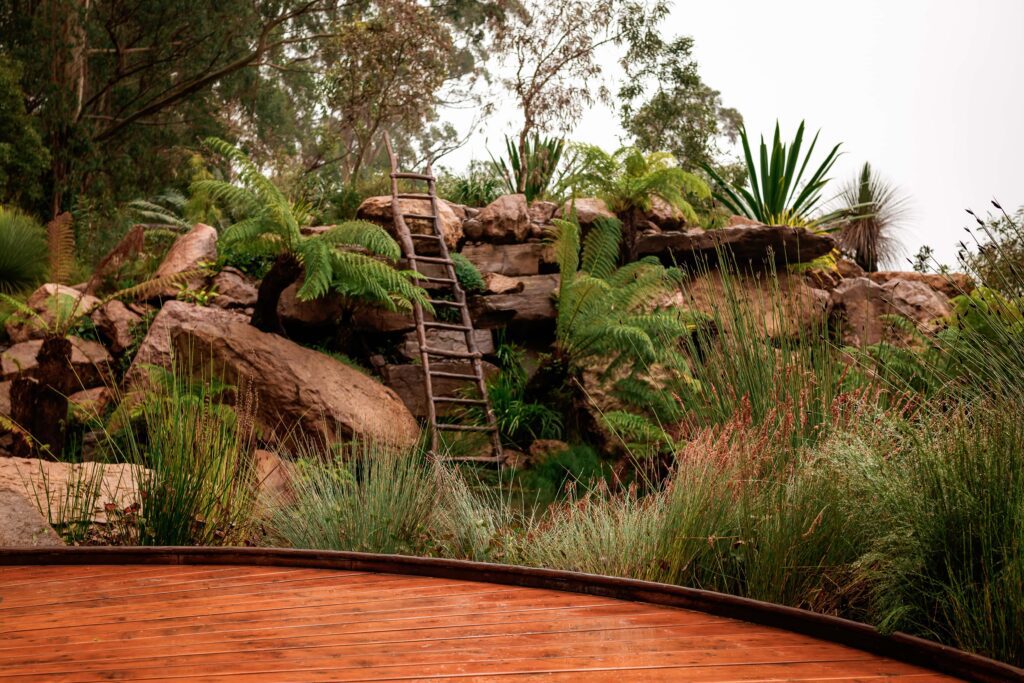 The central billabong and decorate ladder at the Chelsea Australian Garden