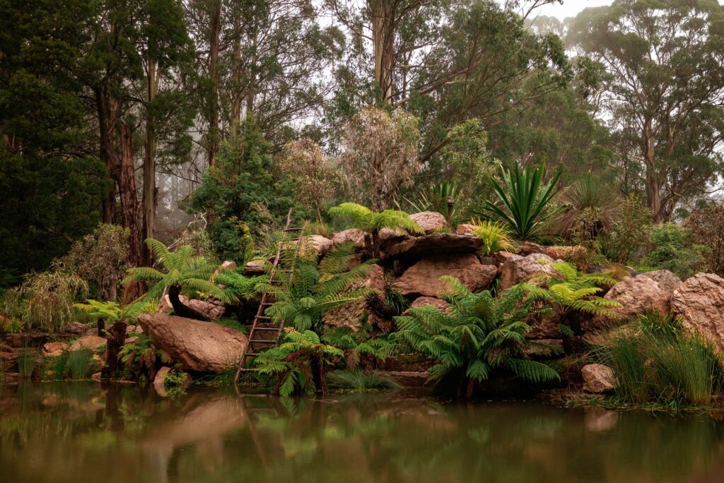 The central elements of Olinda's new Chelsea Australian Garden