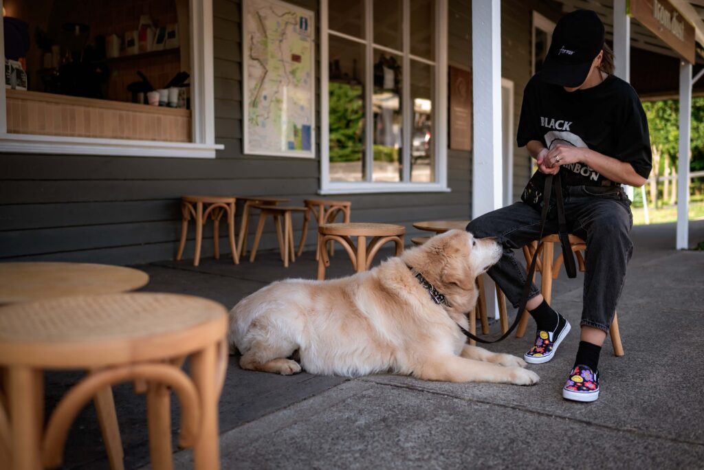 Socialisation work by dog trainer Emma outside a cafe in Sassafras